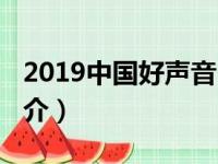 2019中国好声音（关于2019中国好声音的简介）