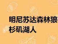 明尼苏达森林狼在主场以110比92战胜了洛杉矶湖人