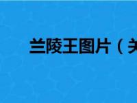 兰陵王图片（关于兰陵王图片的简介）