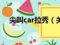 尖叫car拉秀（关于尖叫car拉秀的简介）