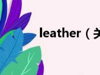 leather（关于leather的简介）