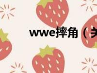 wwe摔角（关于wwe摔角的简介）