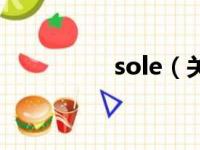 sole（关于sole的简介）