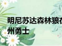 明尼苏达森林狼在比赛中以110比123不敌金州勇士