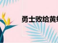 勇士败给黄蜂本赛季第二次输球