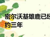 密尔沃基雄鹿已经与主教练布登霍尔泽提前续约三年