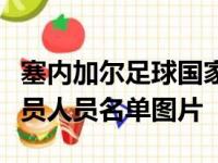 塞内加尔足球国家队，塞内加尔足球国家队队员人员名单图片