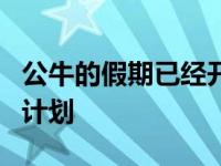 公牛的假期已经开始威廉姆斯有他自己的假期计划