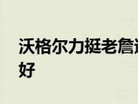 沃格尔力挺老詹遭炮轰 被解读为祈求留队示好