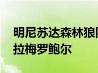 明尼苏达森林狼队不交易状元签 他们会选择拉梅罗鲍尔