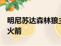 明尼苏达森林狼主场以124比106大胜休斯顿火箭