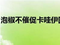 泡椒不催促卡哇伊回归：没人会给他施加压力