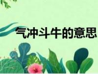 气冲斗牛的意思（气冲斗牛是什么意思）