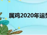 属鸡2020年运势及运程（新年新运势）