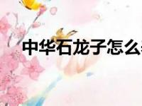 中华石龙子怎么养（中华石龙子如何养）