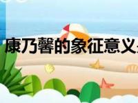 康乃馨的象征意义是什么（康乃馨代表什么）