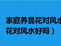 家庭养昙花对风水好吗有什么禁忌（家庭养昙花对风水好吗）