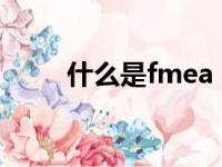 什么是fmea（它是用来做什么的）