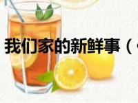 我们家的新鲜事（作文我们家的新鲜事范文）