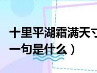 十里平湖霜满天寸寸青丝愁华年什么意思（下一句是什么）