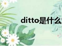 ditto是什么意思啊（ditto解释）