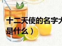 十二天使的名字大全是（十二天使的名字分别是什么）