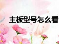 主板型号怎么看（电脑主板型号怎么看）