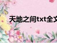 天地之间txt全文未删节（天地之间txt）