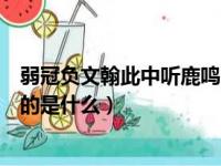 弱冠负文翰此中听鹿鸣中的弱冠指的是男子多少岁（弱冠指的是什么）