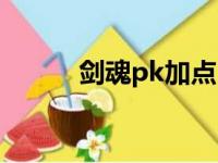 剑魂pk加点（新手剑魂pk必看）