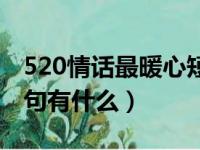 520情话最暖心短句告白（520情话最暖心短句有什么）