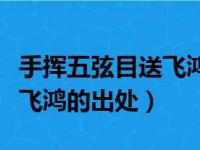 手挥五弦目送飞鸿是什么意思（手挥五弦目送飞鸿的出处）