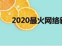 2020最火网络新词（分别是什么意思）