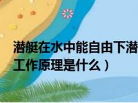 潜艇在水中能自由下潜借鉴了鱼什么器官工作原理（潜艇的工作原理是什么）