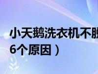 小天鹅洗衣机不脱水是什么原因（主要有如下6个原因）