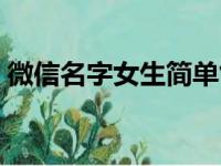 微信名字女生简单气质（总有一个适合你的）