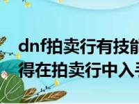 dnf拍卖行有技能宠物吗（dnf有哪些宠物值得在拍卖行中入手）