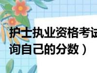 护士执业资格考试成绩怎么查（如何在网上查询自己的分数）