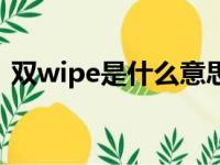 双wipe是什么意思啊（双wipe是什么意思）