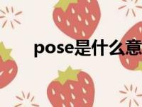 pose是什么意思（poss是什么意思）