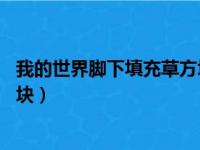 我的世界脚下填充草方块指令（我的世界fill指令怎么填充方块）