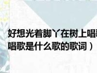 好想光着脚丫在树上唱歌 所有的一切（想要光着脚丫在树上唱歌是什么歌的歌词）