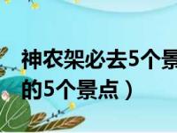 神农架必去5个景点（去神农架旅游不可错过的5个景点）