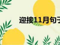 迎接11月句子（十一月你好美句）