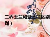 二乔玉兰和紫玉兰区别是什么（二乔玉兰和紫玉兰有什么区别）