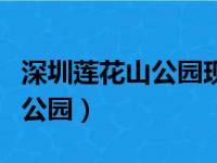 深圳莲花山公园现在有没有开放（深圳莲花山公园）