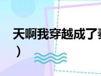 天啊我穿越成了秦桧txt（天啊我穿成了秦桧）