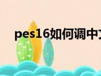 pes16如何调中文解说（pes6中文解说）