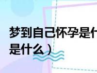 梦到自己怀孕是什么意思（梦到自己怀孕含义是什么）