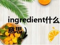 ingredient什么意思（英语ingredient什么意思）